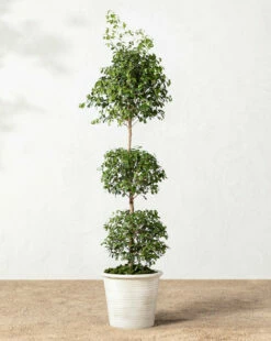 Canton Ceramic Planter 8 Canton Ceramic Planter -Bloomingville Shop 20220110 Outdoor 011 bb213e8e 7b28 449c 8fea 1b8e3c997358