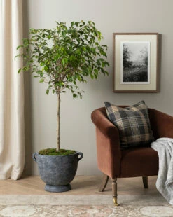 Cleo Terracotta Planter -Bloomingville Shop 20230608 SS FallCatalogue 005 T