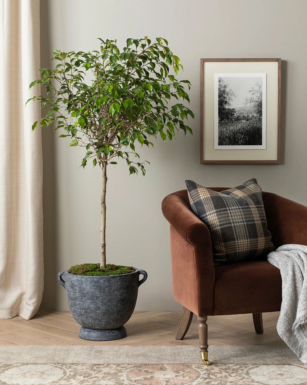 Clemence Lounge Chair 6 Clemence Lounge Chair - Image 4