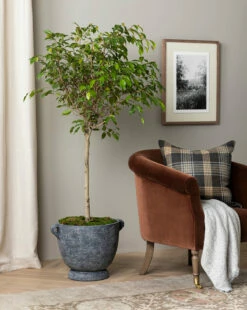 Esma Gray Fringed Throw -Bloomingville Shop 20230608 SS FallCatalogue 006 T