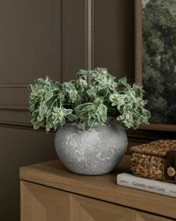 Luna Distressed Vase -Bloomingville Shop 20230913 SS Furniture Decor 015 T