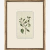 Delicate Floral Lll -Bloomingville Shop DelicateFloralIIl MART1704 GRN 16x20 F MAIN T