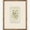 Delicate Floral Ll -Bloomingville Shop DelicateFloralll MART1703 GRN 16x20 F MAIN T