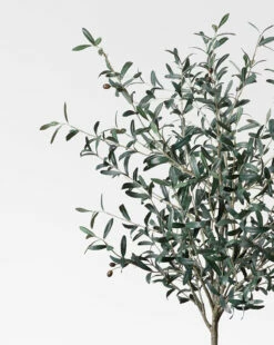Faux 72" Olive Tree With Ceramic Pot 9 Faux 72" Olive Tree With Ceramic Pot -Bloomingville Shop Faux72 OliveTreewithCeramicPot MDCR2443 GRN 72 D1