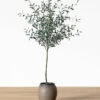 Faux 72" Olive Tree With Ceramic Pot -Bloomingville Shop Faux72 OliveTreewithCeramicPot MDCR2443 GRN 72 MAIN