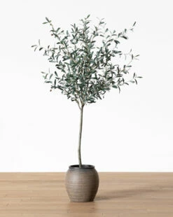 Faux 72" Olive Tree With Ceramic Pot