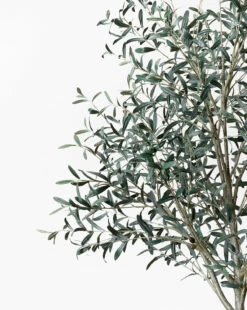 Faux 96" Olive Tree With Woven Pot -Bloomingville Shop Faux96 OliveTreewithWovenPot MDCR2444 GRN 96 D1
