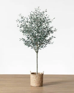 Faux 96" Olive Tree With Woven Pot