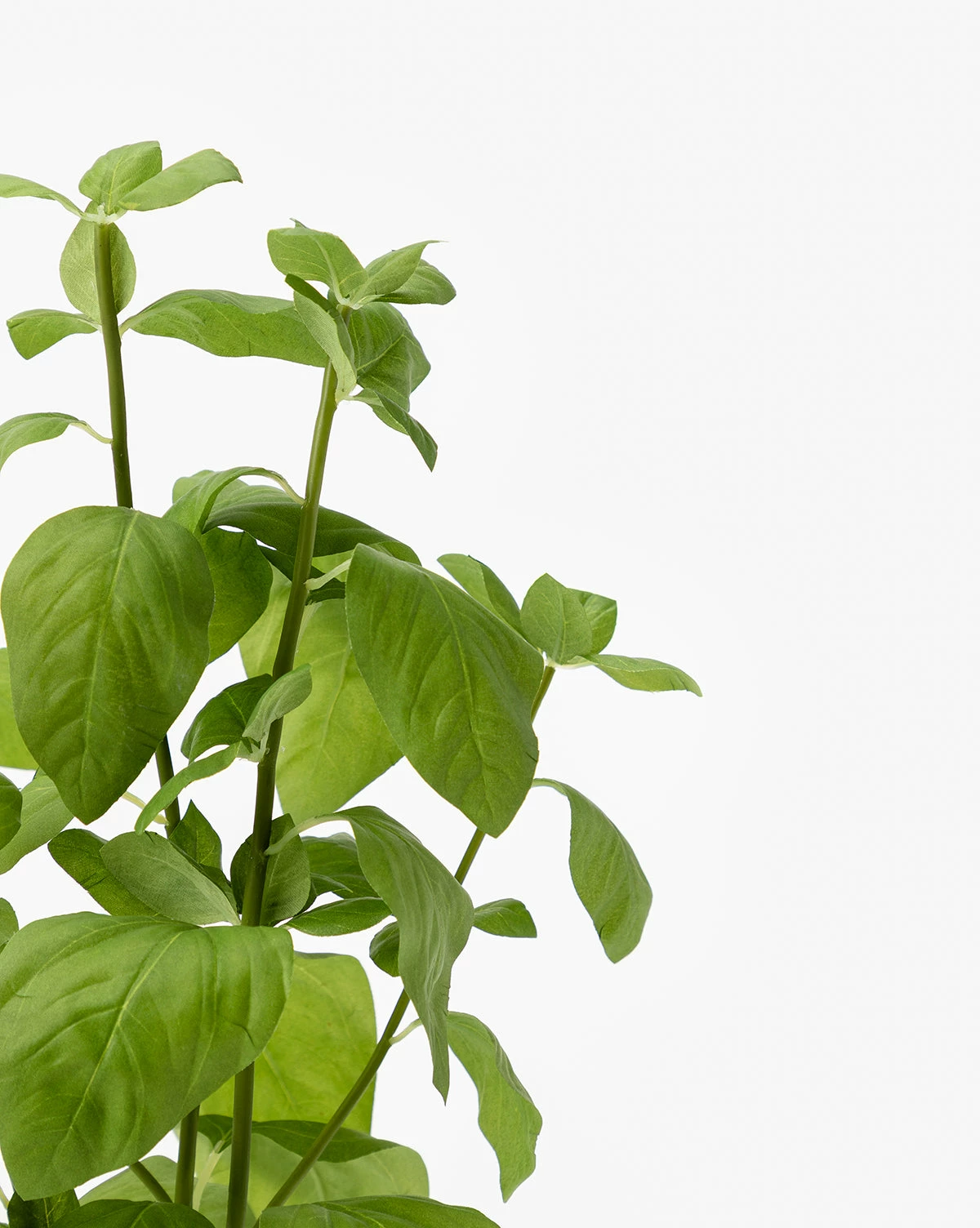 Faux Basil Drop-In 6 Faux Basil Drop-In - Image 4