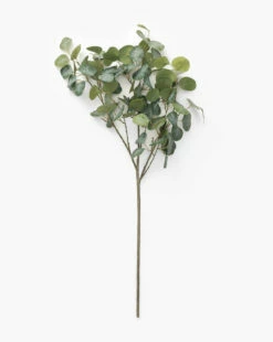 Faux Eucalyptus Branch