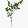 Faux Italian Ficus Branch