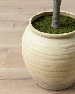 Faux Japanese Quince Tree -Bloomingville Shop FauxJapaneseQuinceTree MDCR2725 GRN 84 D1 T