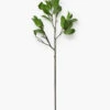 Faux Laurel Leaf Stem -Bloomingville Shop FauxLaurelLeafStem MDCR0791 GRN OS MAIN