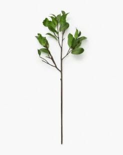 Faux Laurel Leaf Stem