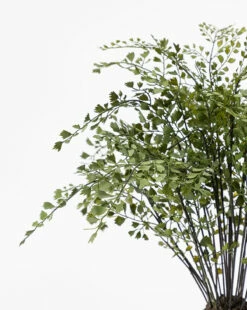 Faux Maiden Hair Drop-In -Bloomingville Shop FauxMaidenHairDrop In MDCR0037 GRN D1 9bfd7668 c93a 4f44 ac74 bebd7e5fbba5