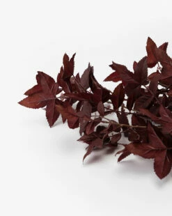 Faux Maple Leaf Stem -Bloomingville Shop FauxMapleLeafStem MDCR2726 PUR OS D1 T