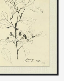 Floral Study 2 -Bloomingville Shop FloralStudy2 D1