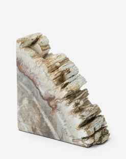 Fossilized Wood Bookends (Set Of 2) -Bloomingville Shop FossilizedWoodBookends MDCR2586 NAT OS D2