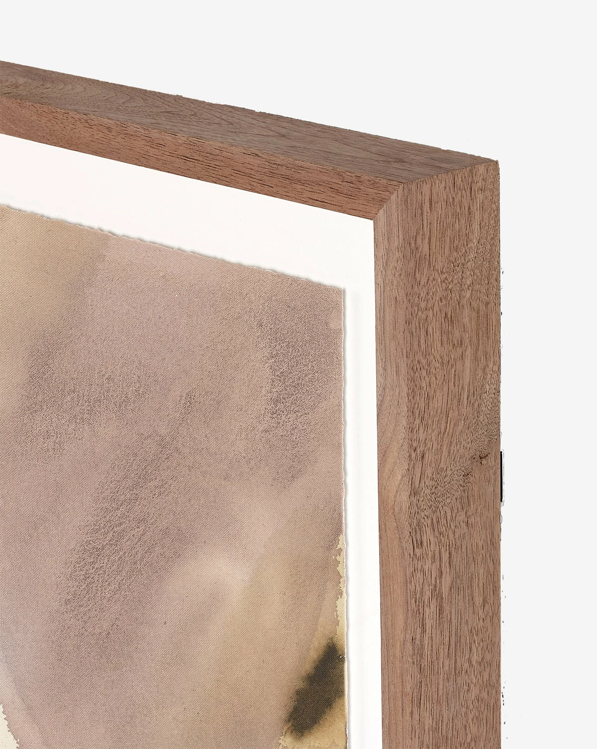 Fused 6 Fused - Image 4