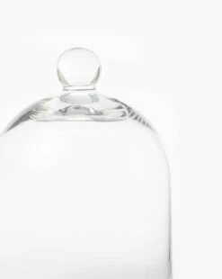 Glass Cloche -Bloomingville Shop GlassCloche MDCR1876 GLS OS D1