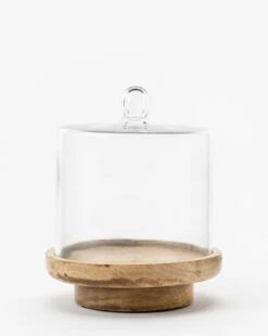 Glass Cloche With Wooden Base