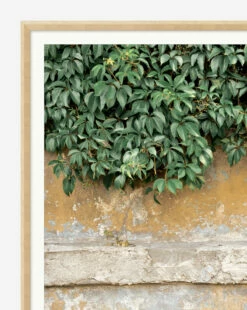 Growth -Bloomingville Shop Growth MART1405 GRN 43x29 F D1