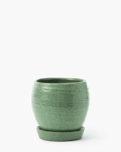 Jaycee Green Pot 9 Jaycee Green Pot -Bloomingville Shop JayceeGreenPot MDCR2834 GRN L MAIN T