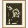 Floral Etching -Bloomingville Shop MART1463 BAW 17x20 F MAIN