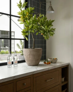 Textured Concrete Pot -Bloomingville Shop Mishurda Batch4 8