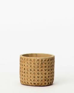 Natural Cement Planter (Set Of 2) -Bloomingville Shop NaturalCementPlanter Setof2 3