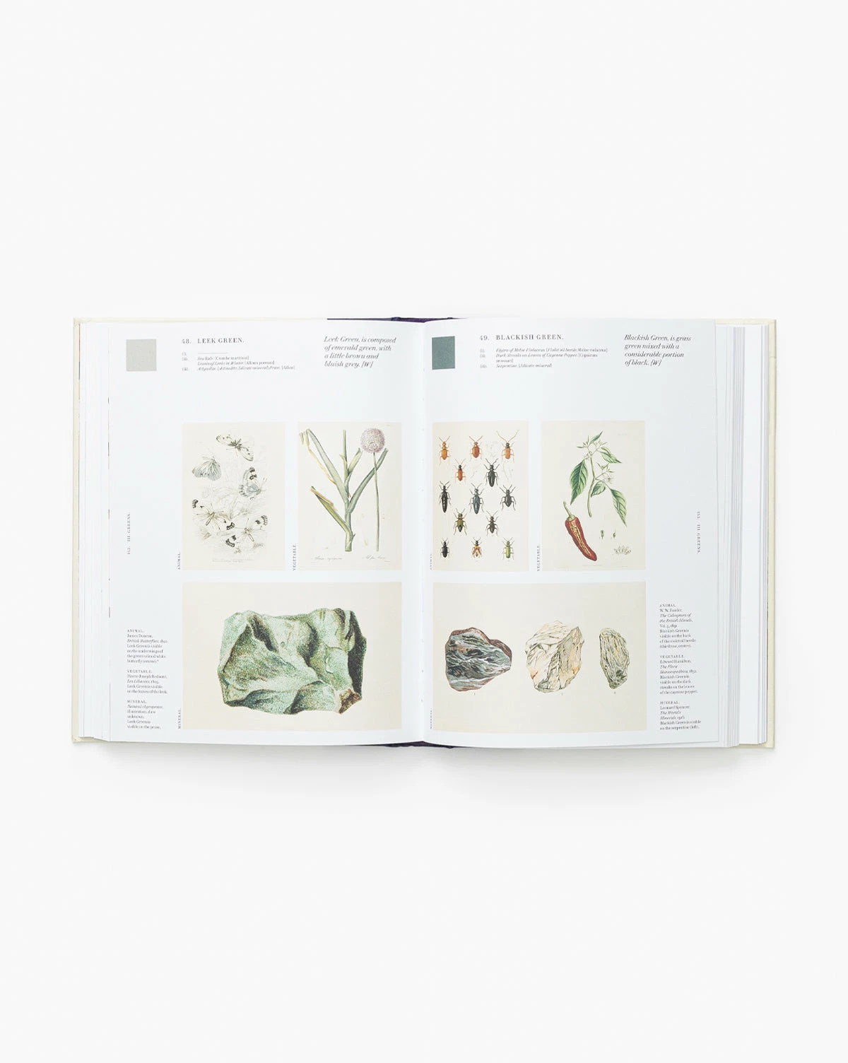 Nature's Palette 4 Nature's Palette - Image 2