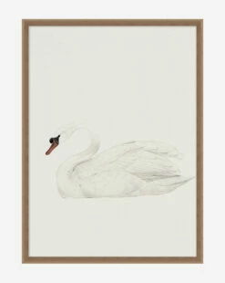 Neutral Swan