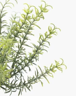 Potted Faux Rosemary Topiary -Bloomingville Shop PottedFauxRosemaryTopiary MDCR2811 GRN D1 T