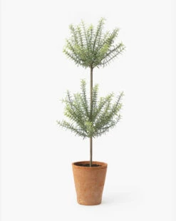 Potted Faux Rosemary Topiary -Bloomingville Shop PottedFauxRosemaryTopiary MDCR2811 GRN L MAIN T