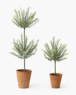Potted Faux Rosemary Topiary