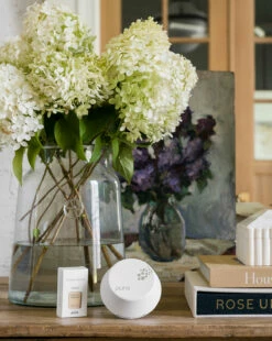 Pura X Studio McGee Sea Salt Driftwood Home Fragrance Refill -Bloomingville Shop Pura 9