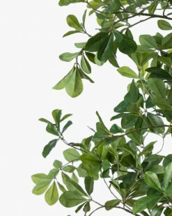 Shady Lady Faux Tree 12 Shady Lady Faux Tree -Bloomingville Shop ShadyLadyFauxTree MDCR2608 GRN 96 D1