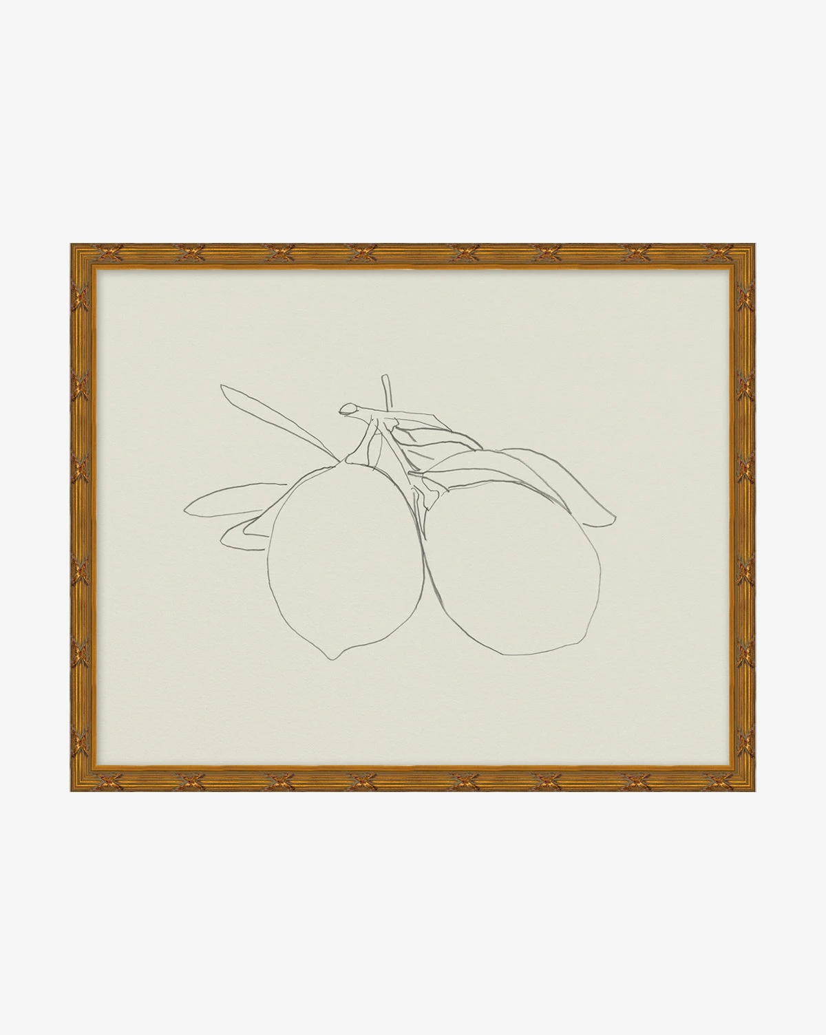 Sketched Fruit I 3 Sketched Fruit I