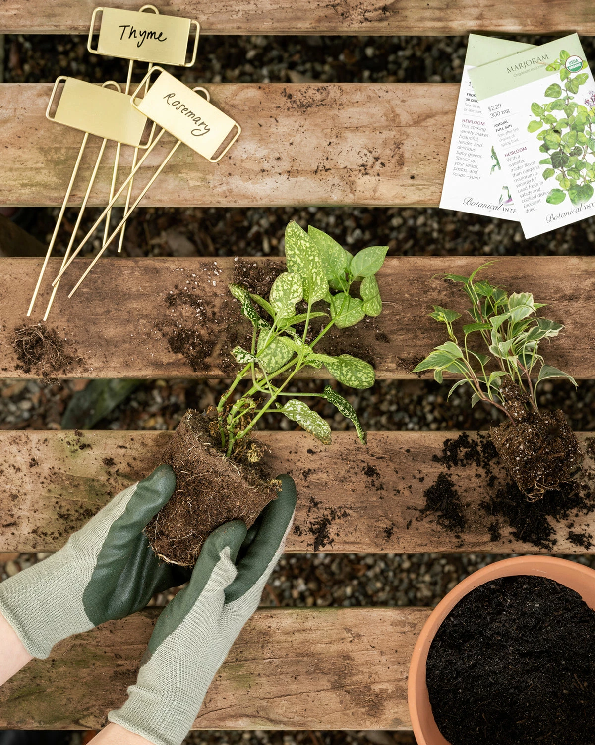 Brass Garden Tags (Set Of 4) 4 Brass Garden Tags (Set Of 4) - Image 2