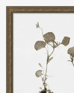 Subdued Botanicals II -Bloomingville Shop SubduedBotanicalsII MART1121 BWN 20x24 F D1