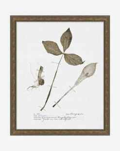 Subdued Botanicals III