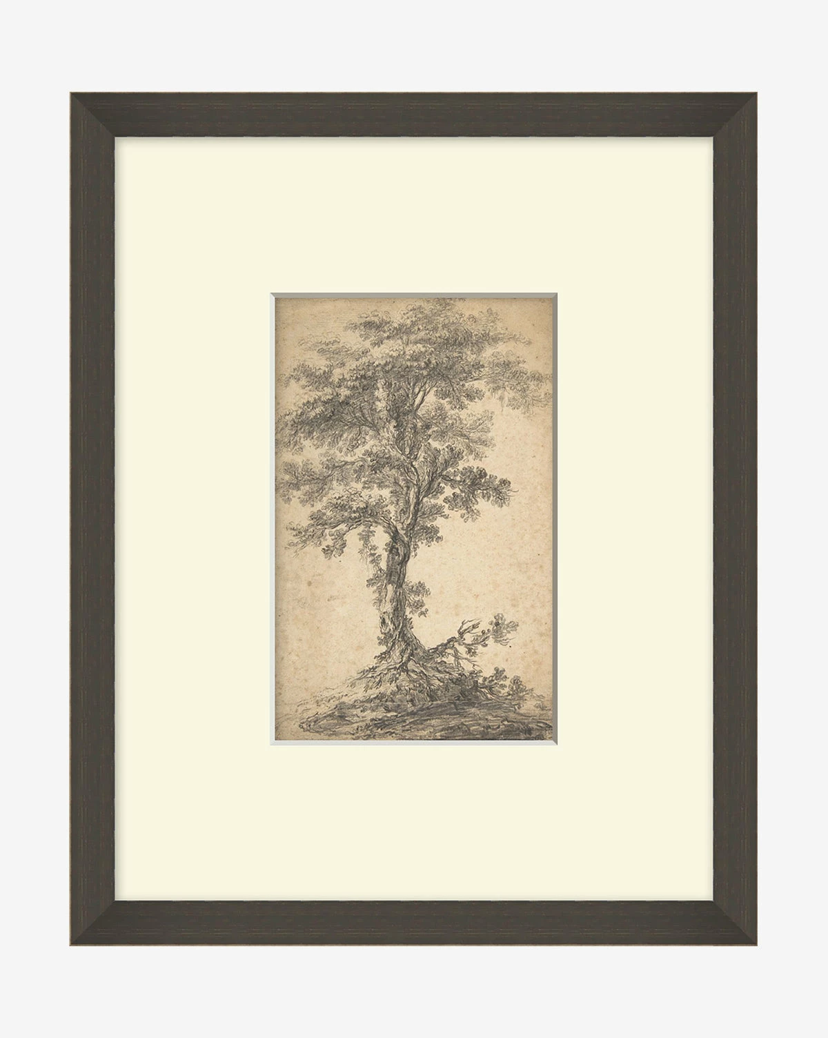 Tree On A Hilltop 3 Tree On A Hilltop