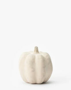 White Paper Mache Pumpkin -Bloomingville Shop WhitePaperMachePumpkin MDCR2768 WHT S T bc67c8b2 fa99 4ae9 9da1 b7f5150f83a3