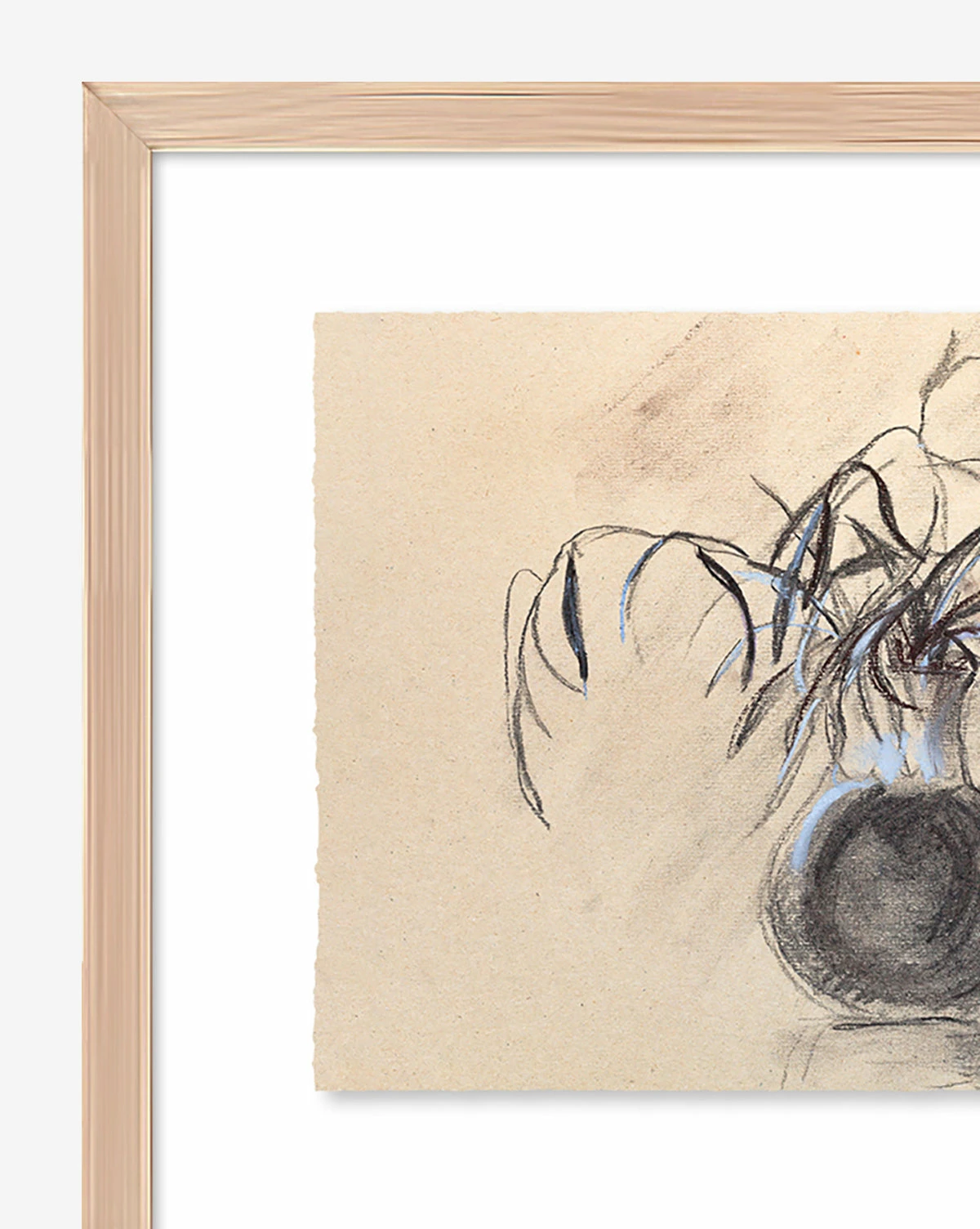 Willow Branches 6 Willow Branches - Image 4