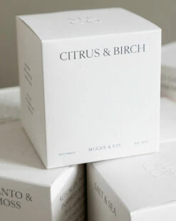 Citrus & Birch Candle -Bloomingville Shop fragrance templated 8